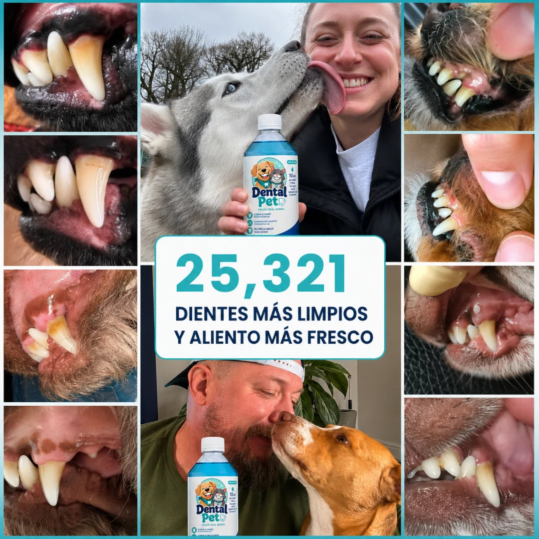 Solución bucal antiséptica para mascotas DentalPet®