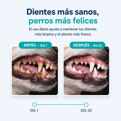 Solución bucal antiséptica para mascotas DentalPet®