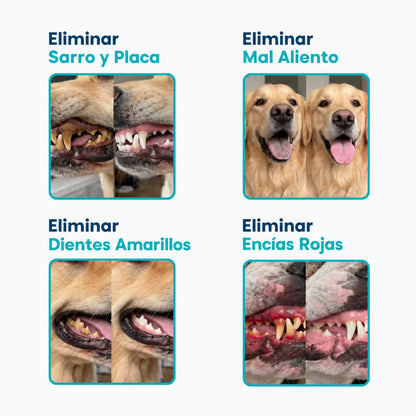 Solución bucal antiséptica para mascotas DentalPet®