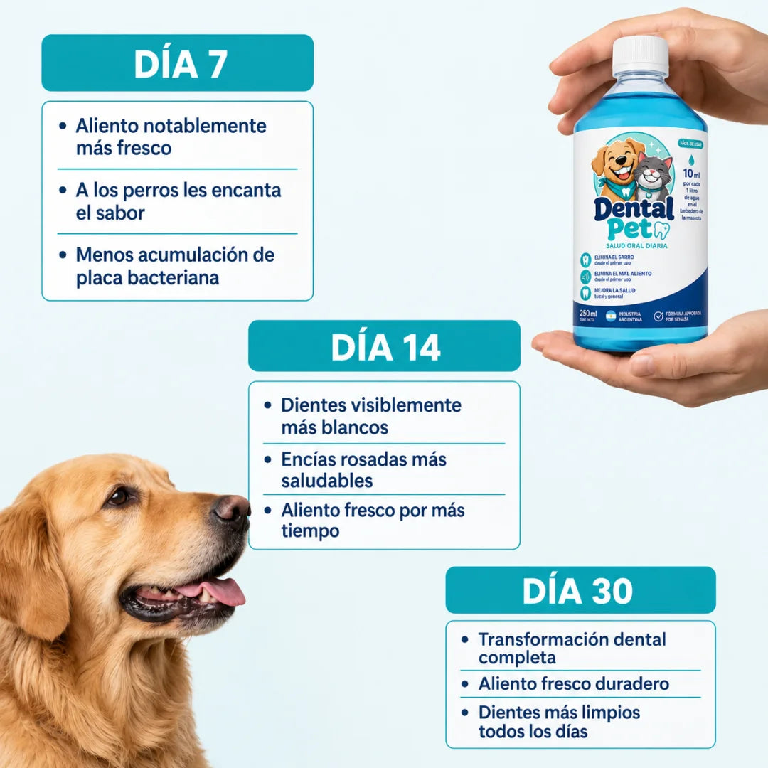 Solución bucal antiséptica para mascotas DentalPet®