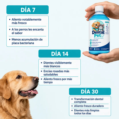 Solución bucal antiséptica para mascotas DentalPet®