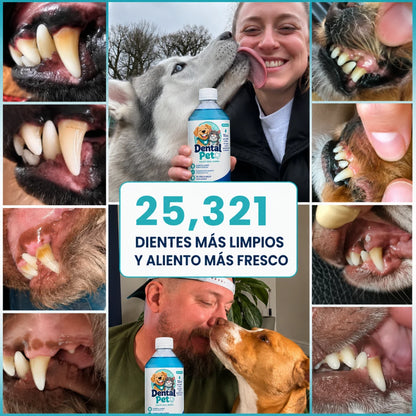 Solución bucal antiséptica para mascotas DentalPet®